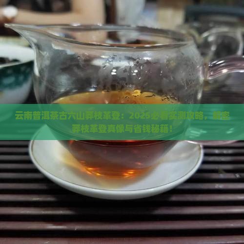 云南普洱茶古六山莽枝革登
