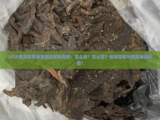 普洱茶苑食堂地址在哪里