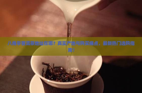 八角亭普洱茶地址