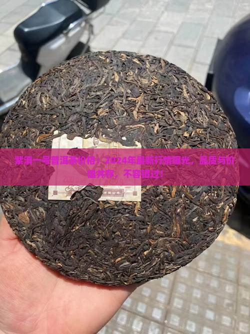 紫滇一号普洱茶价格