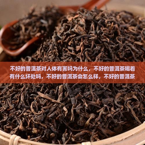 不好的普洱茶对人体有害吗
