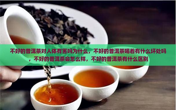 不好的普洱茶对人体有害吗