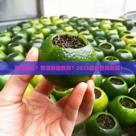 胃病人适合喝普洱茶吗
