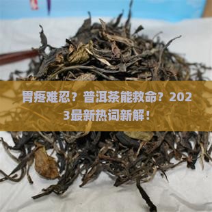 胃病人适合喝普洱茶吗