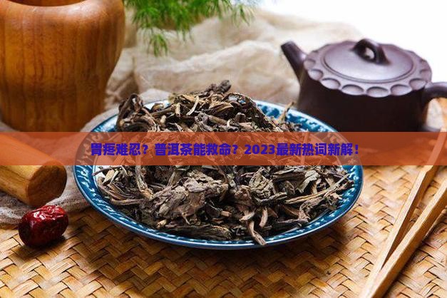 胃病人适合喝普洱茶吗