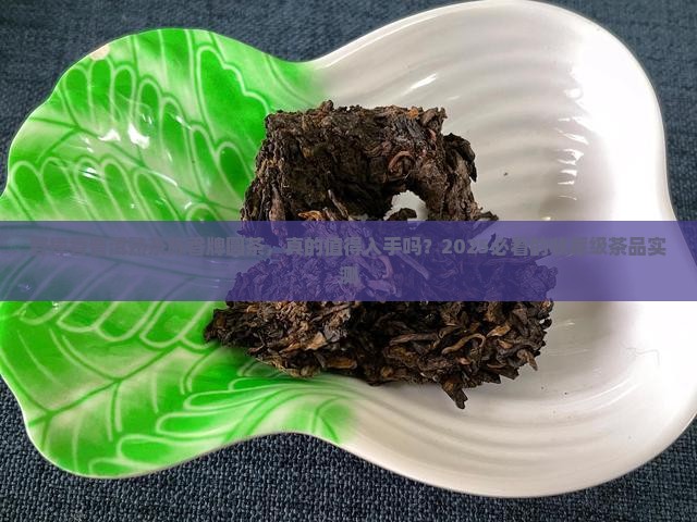 野樟香普洱茶熟茶陈香牌圆茶