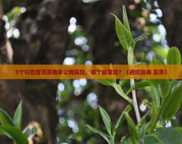 抖音上普洱茶哪家最靠谱