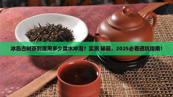 冰岛古树茶多少度开水 冰岛古树茶多少度开水