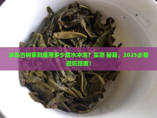 冰岛古树茶多少度开水 冰岛古树茶多少度开水