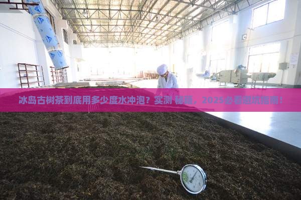冰岛古树茶多少度开水 冰岛古树茶多少度开水