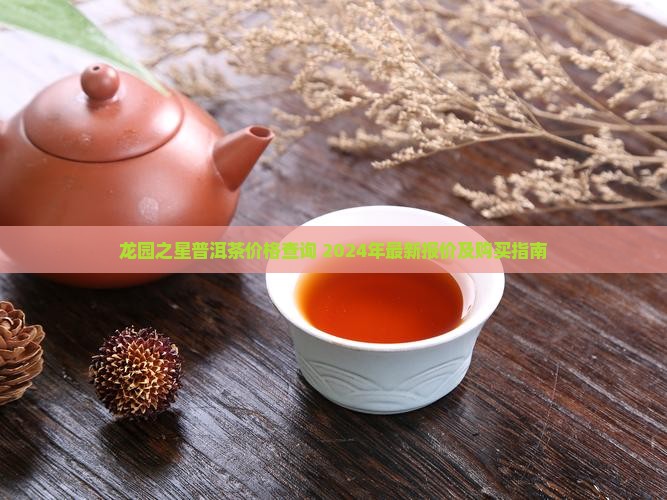 龙园之星普洱茶价格查询