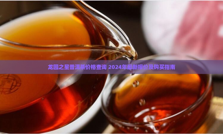 龙园之星普洱茶价格查询