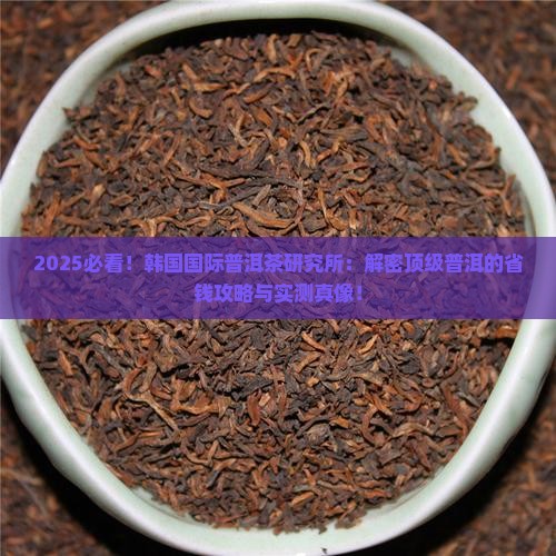 韩国国际普洱茶研究所