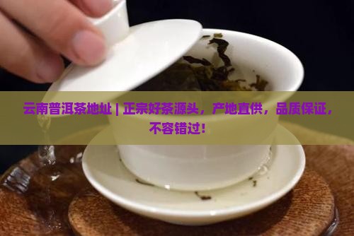 云南普洱茶地址