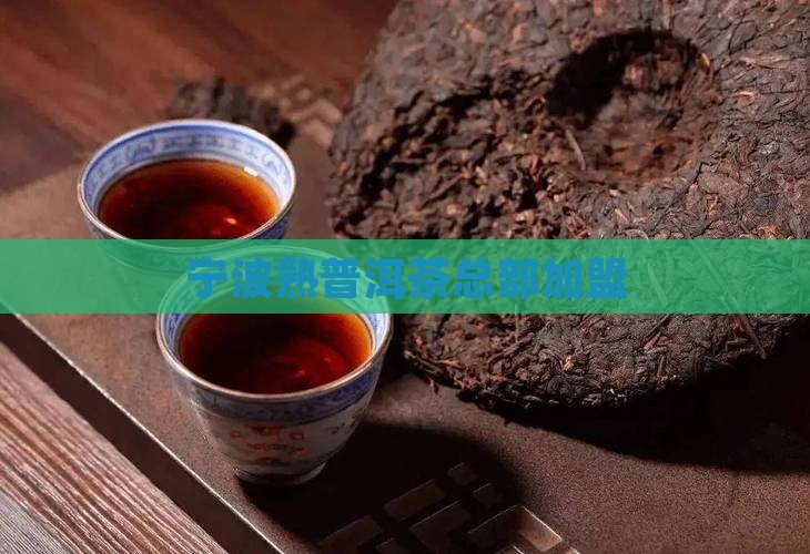 宁波熟普洱茶总部加盟