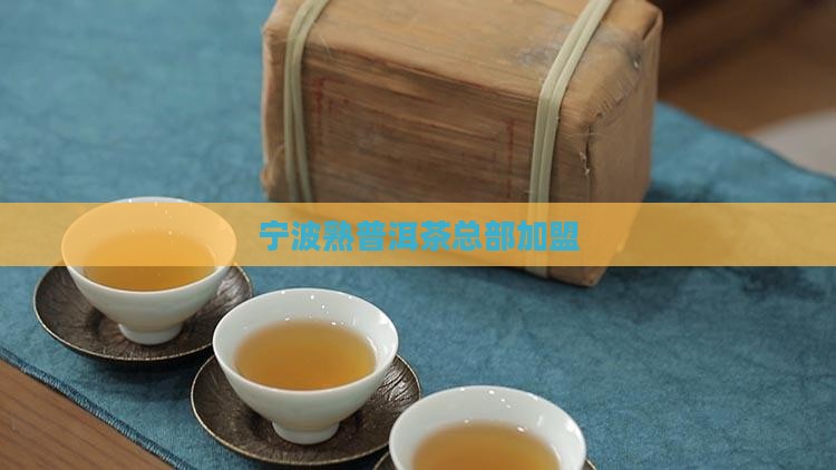 宁波熟普洱茶总部加盟