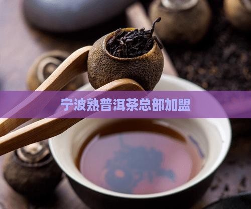 宁波熟普洱茶总部加盟