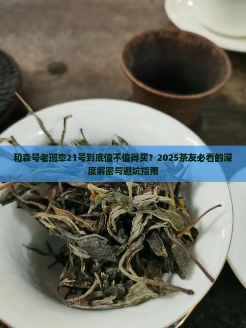 和森号老班章21号