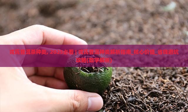 戎氏普洱茶种类