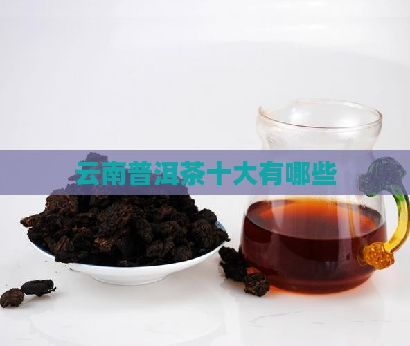 云南省十大普洱茶品牌有哪些