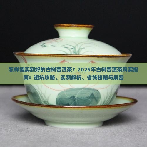 怎样能买到好的古树普洱茶