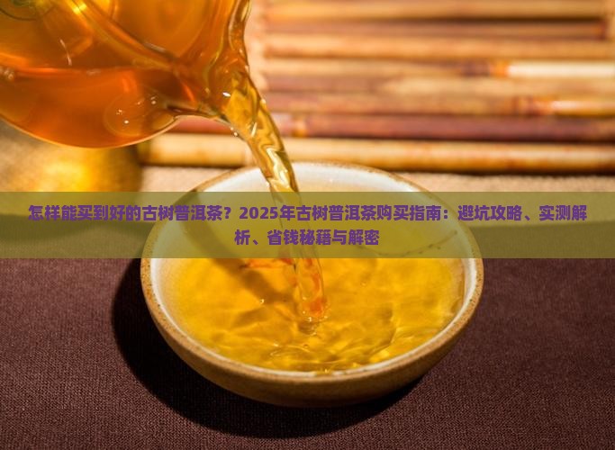 怎样能买到好的古树普洱茶