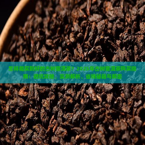 怎样能买到好的古树普洱茶