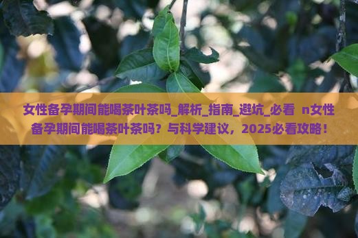 女性备孕期间能喝茶叶茶吗