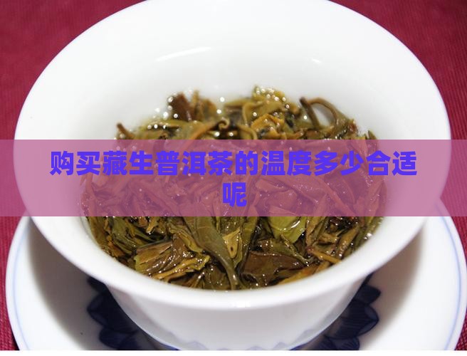 购买藏生普洱茶的温度多少合适
