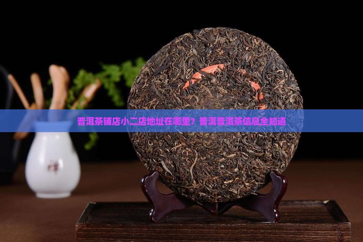 普洱茶铺店小二店地址在哪里