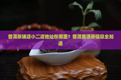 普洱茶铺店小二店地址在哪里