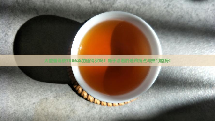 大益普洱茶7566