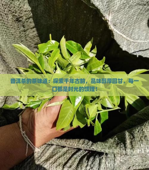 普洱茶的茶味道