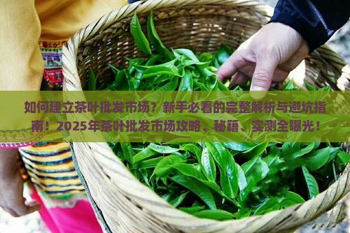 如何建立茶叶批发市场