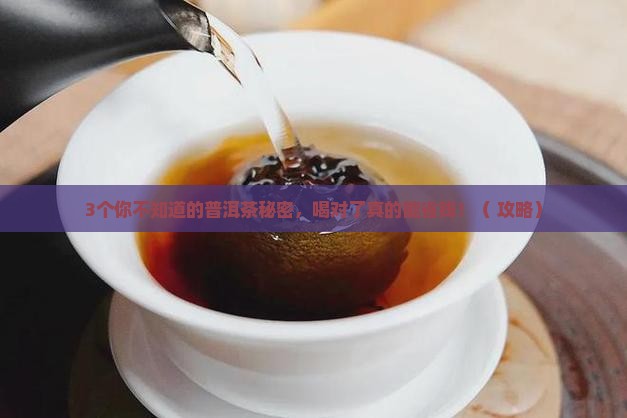 普洱茶理化成分