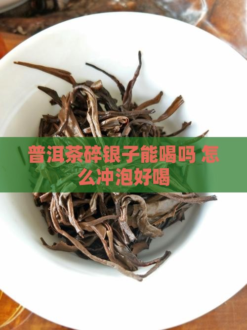 普洱茶碎银子能喝吗怎么泡好喝