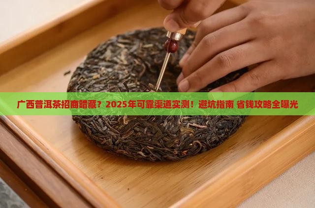 广西可靠普洱茶招商