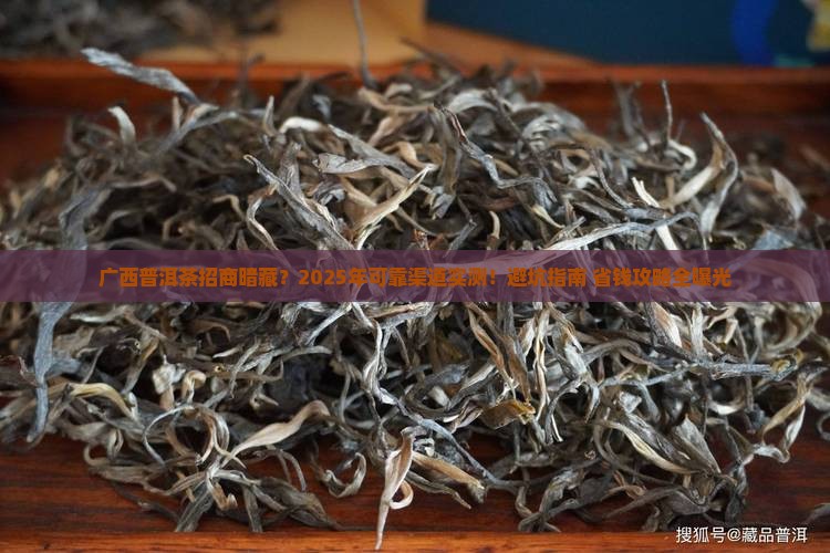 广西可靠普洱茶招商