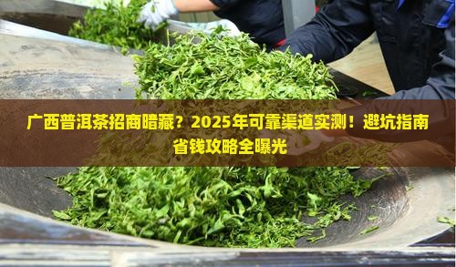 广西可靠普洱茶招商