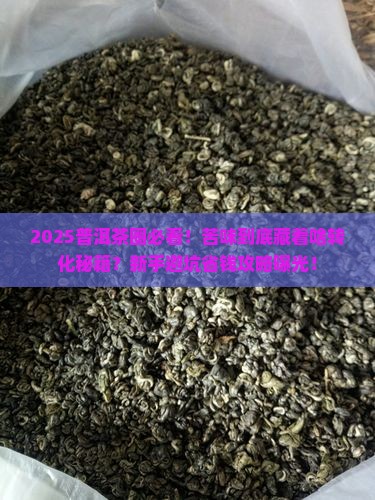 普洱茶越苦越有转化价值