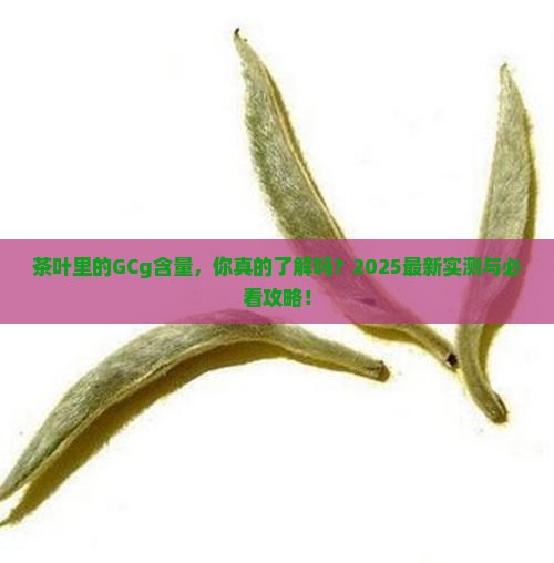 茶叶中的gcg含量
