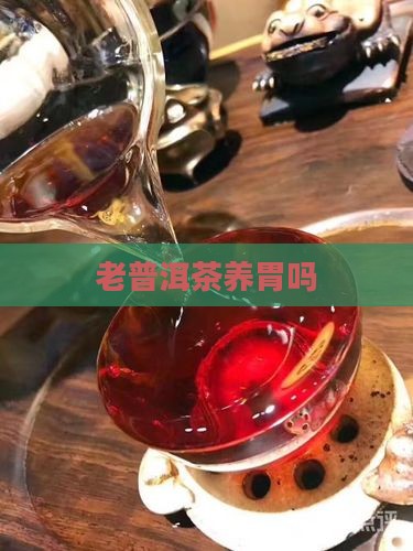 老普洱茶养胃吗