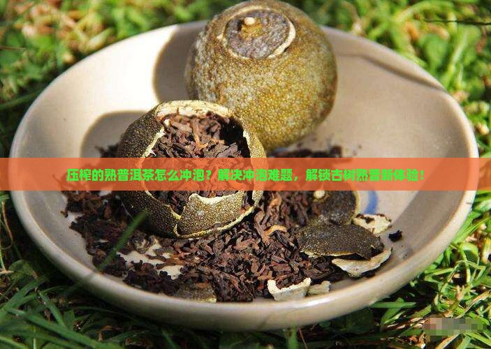 压榨的熟普洱茶怎么冲泡
