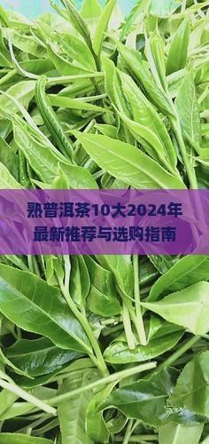 熟普洱茶10大品牌