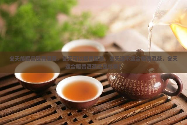 冬天能喝宫廷普洱茶