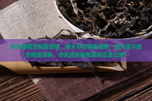 冬天能喝宫廷普洱茶