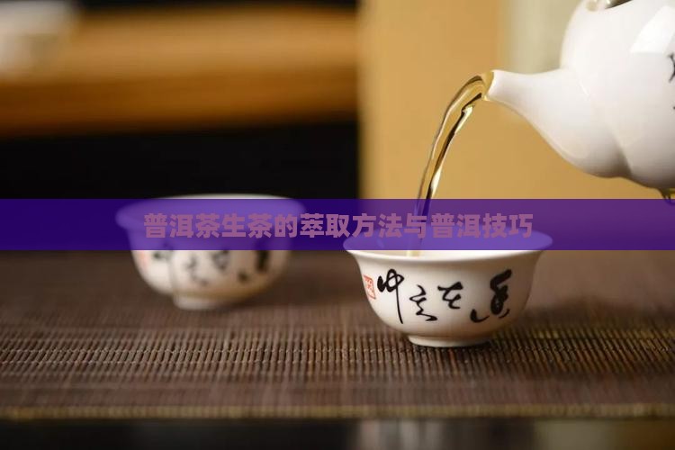 普洱茶生茶的萃取