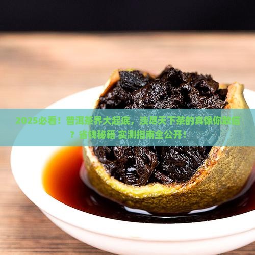 淡尽天下普洱茶