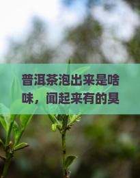 普洱茶泡出来是啥味