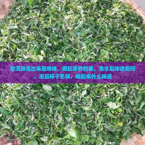 普洱茶泡出来是啥味